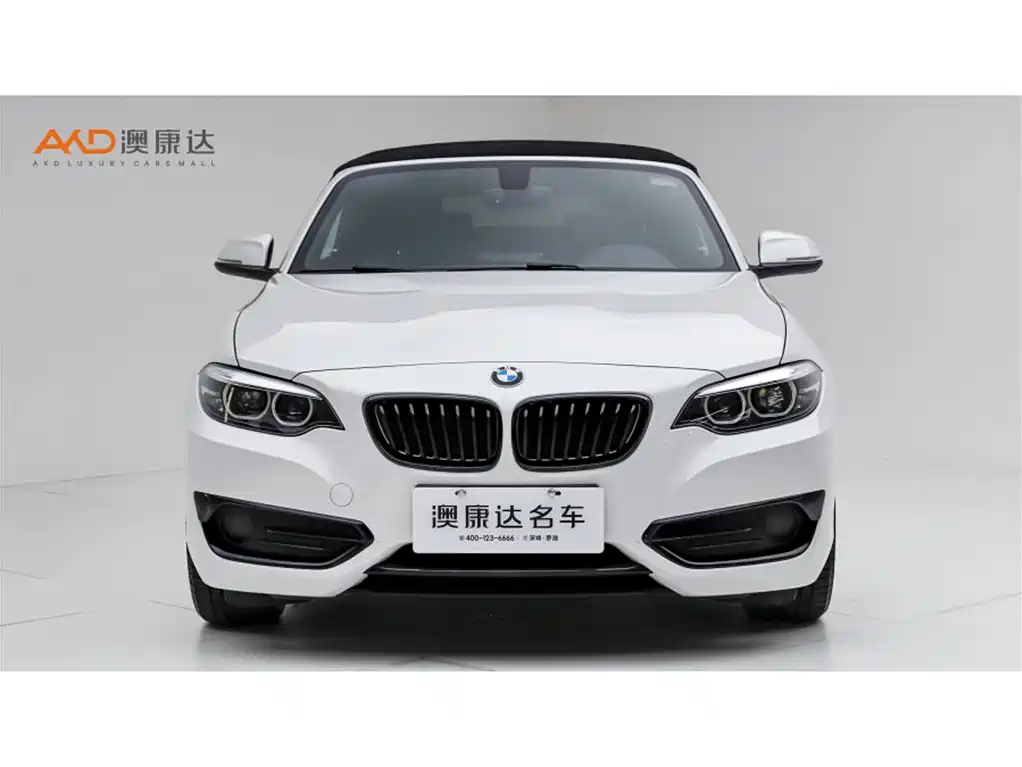 BMW 2 Series (Import) 2019 225i Convertible Coupe Sport Design Package фото 2
