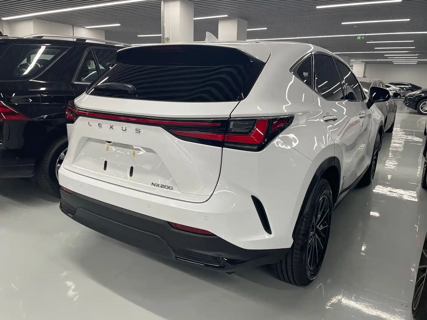 LEXUS NX