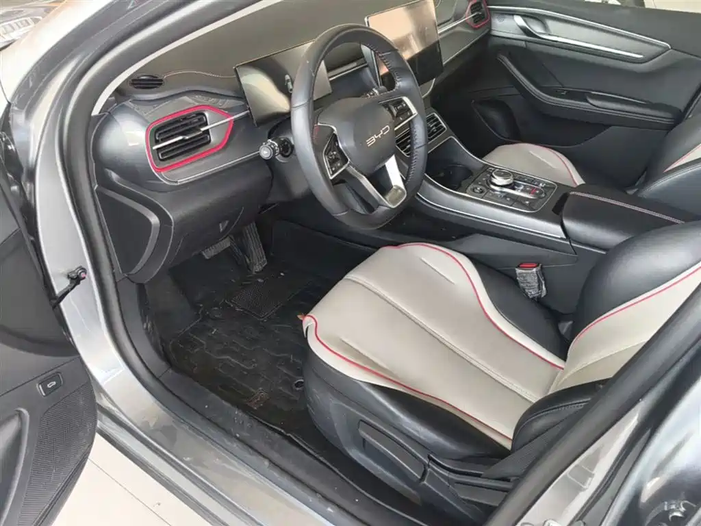 BYD Destroyer 05 2023 Champion Edition DM-i 55KM Luxury фото 16