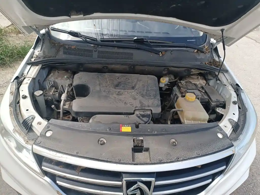 Baojun 730 2021 2021 1.5L Manual Fashion 7-Seater