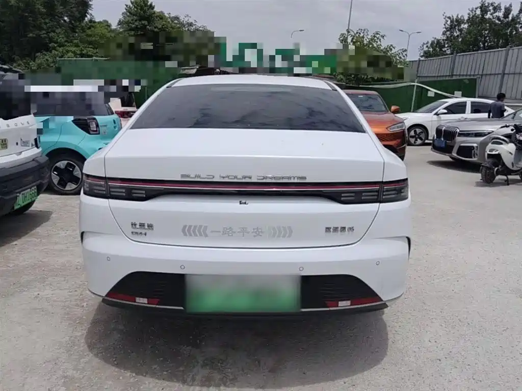 BYD Destroyer 05 2024 Glory Edition DM-i 55KM Luxury фото 6