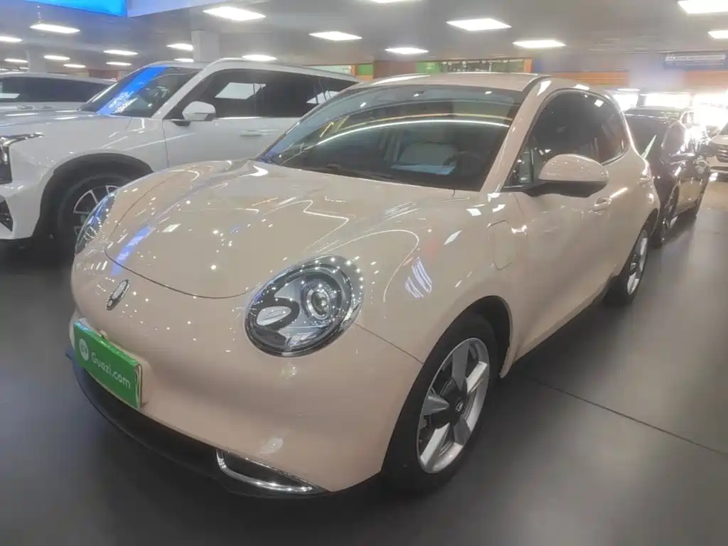 Ora Good Cat 2024 2023 401km Standard Range Luxury LFP