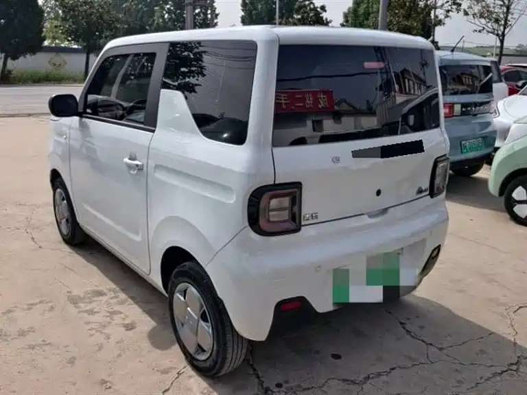 Geely Galaxy Panda 2023 Panda Mini 200km Endurance Bear фото 6