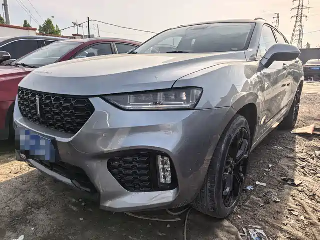 WEI PAI WEI BRAND VV7