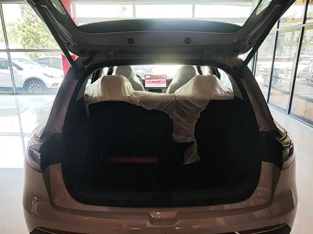 Geely Galaxy Starry Wish 2026 Edition 410km Freedom Version фото 19