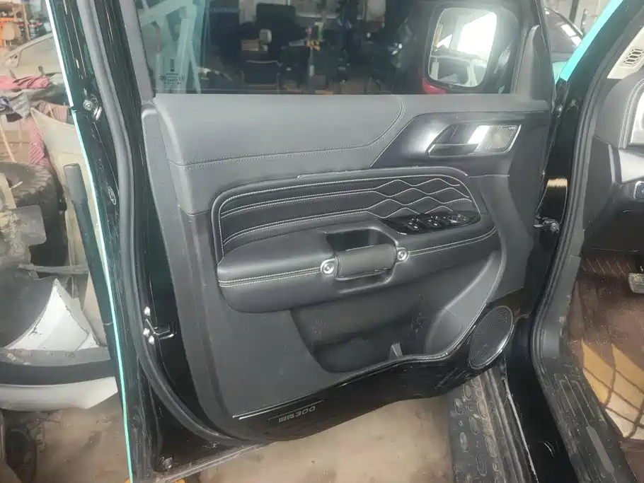 Tank 300 2021 2021 Off-road Edition 2.0T Challenger