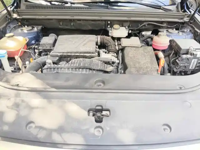 BYD Song Pro New Energy 2022 DM-i 110km Flagship Pro — фото 3