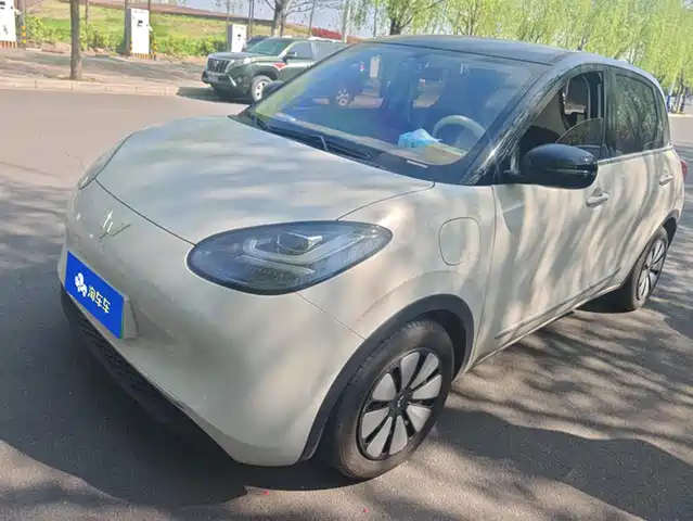 WULING WULING BINGGUO