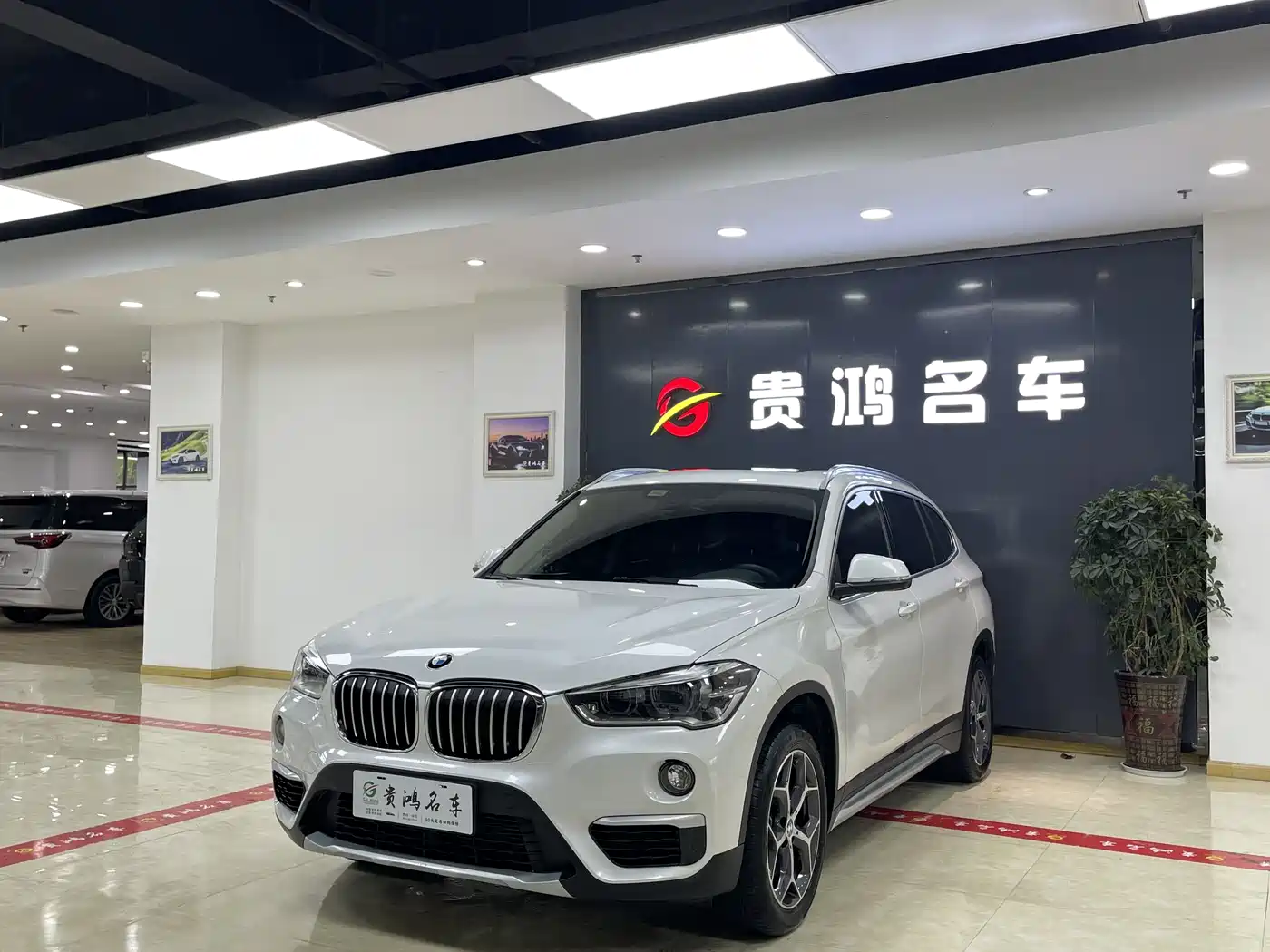 BMW X1 2019 xDrive20Li Premium Model