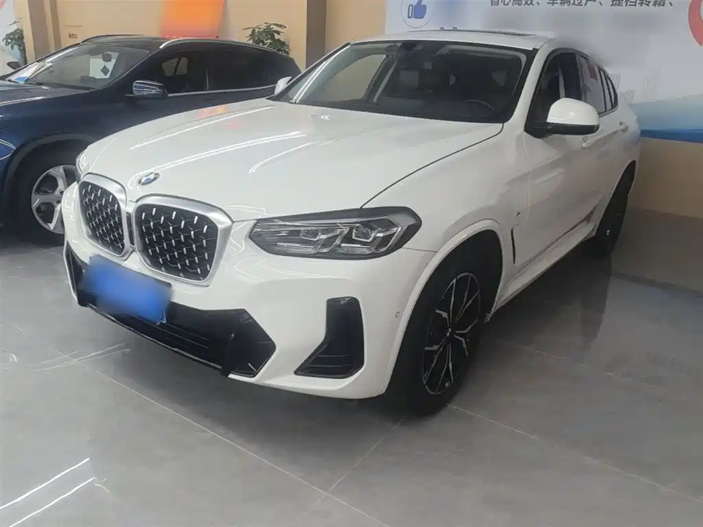 BMW X4 2022 xDrive 25i M Sport Package