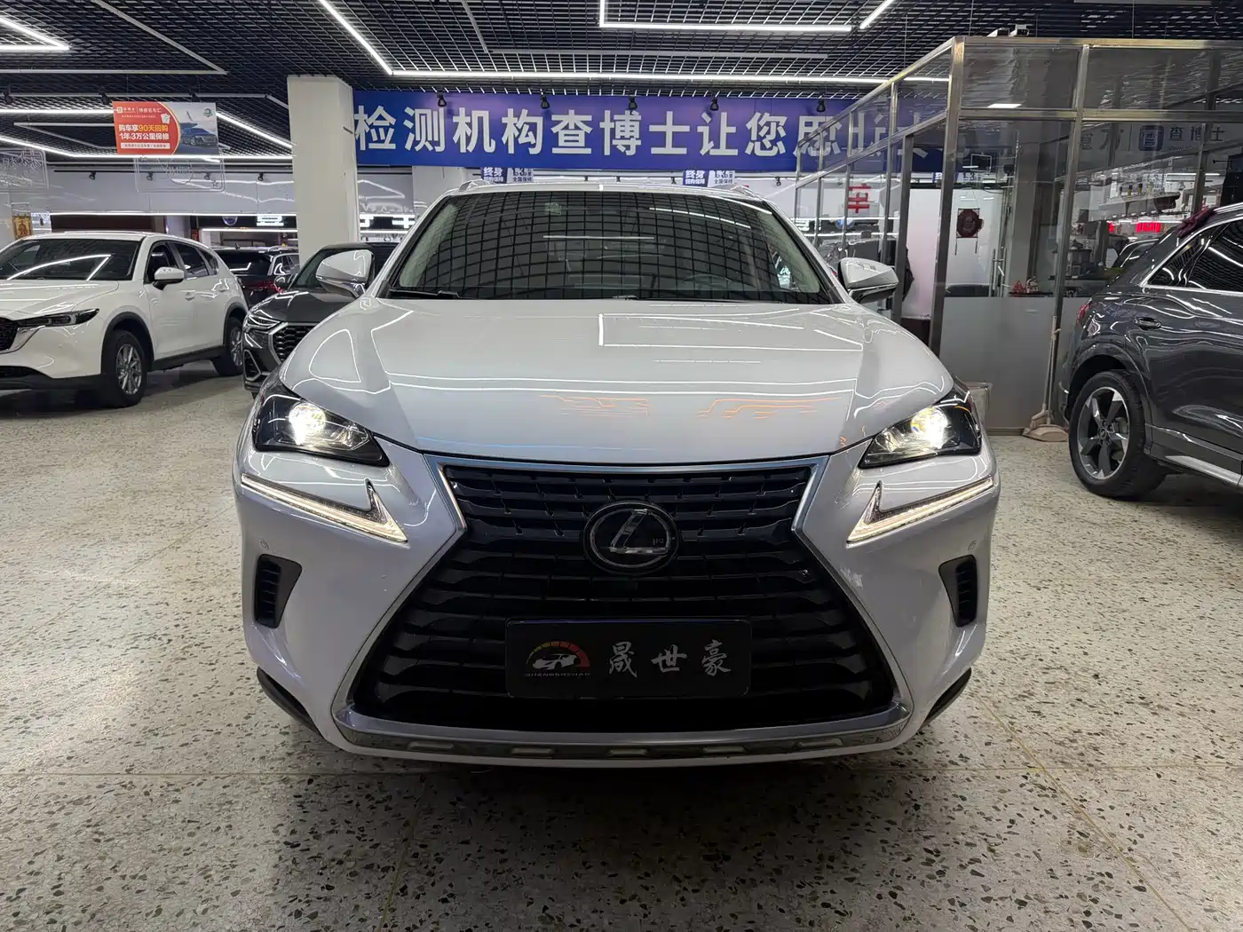 LEXUS NX