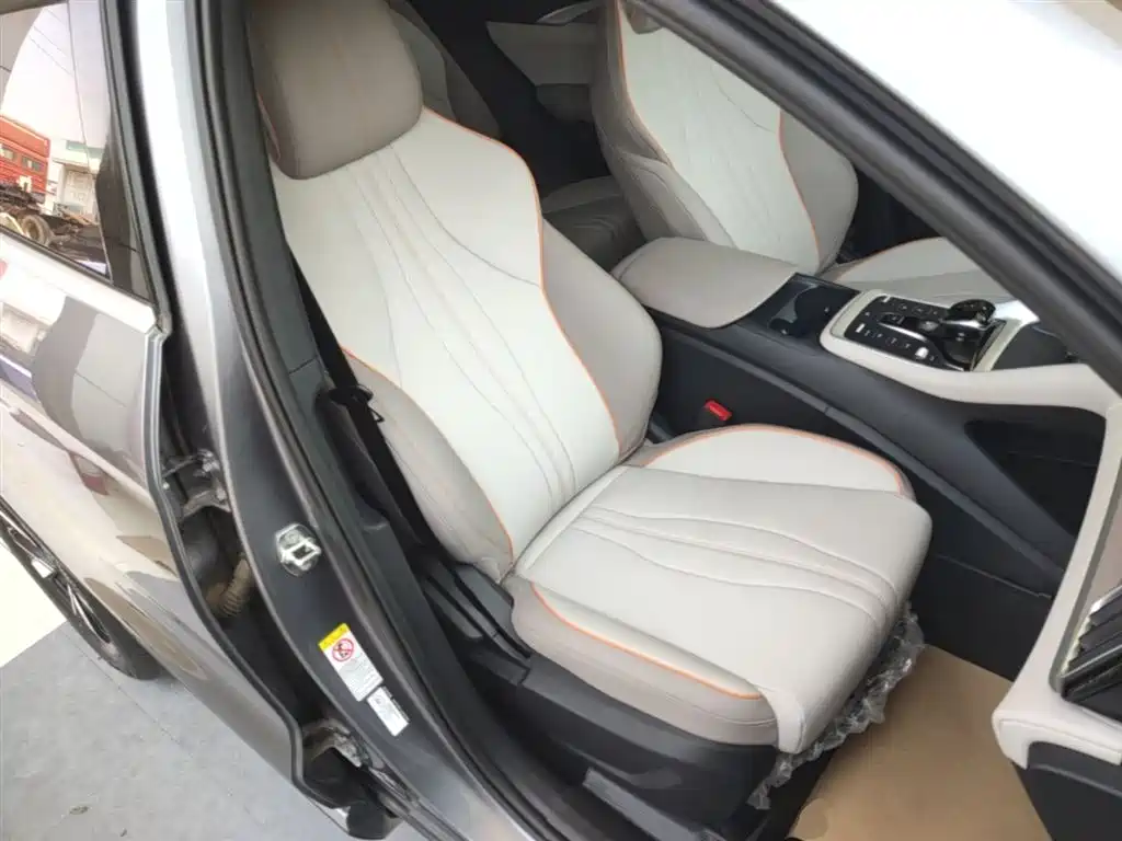 BYD Song Pro New Energy 2024 Glory Edition DM-i 71KM Pilot фото 25