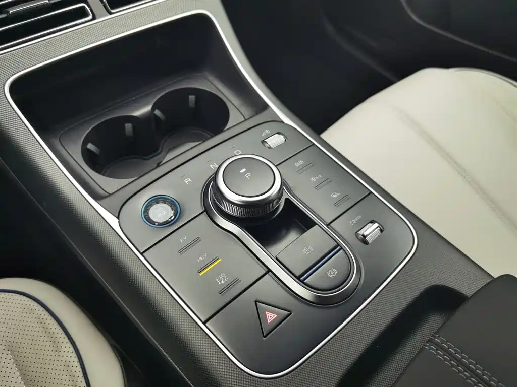 BYD Destroyer 05 2023 Champion Edition DM-i 55KM Luxury фото 13