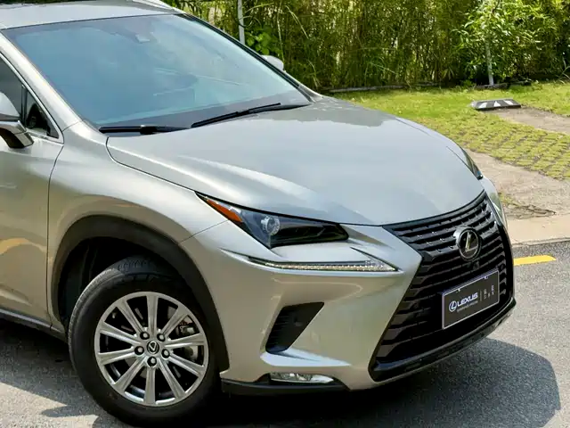 Lexus NX 2020 300h FWD F Sport China VI — фото 3