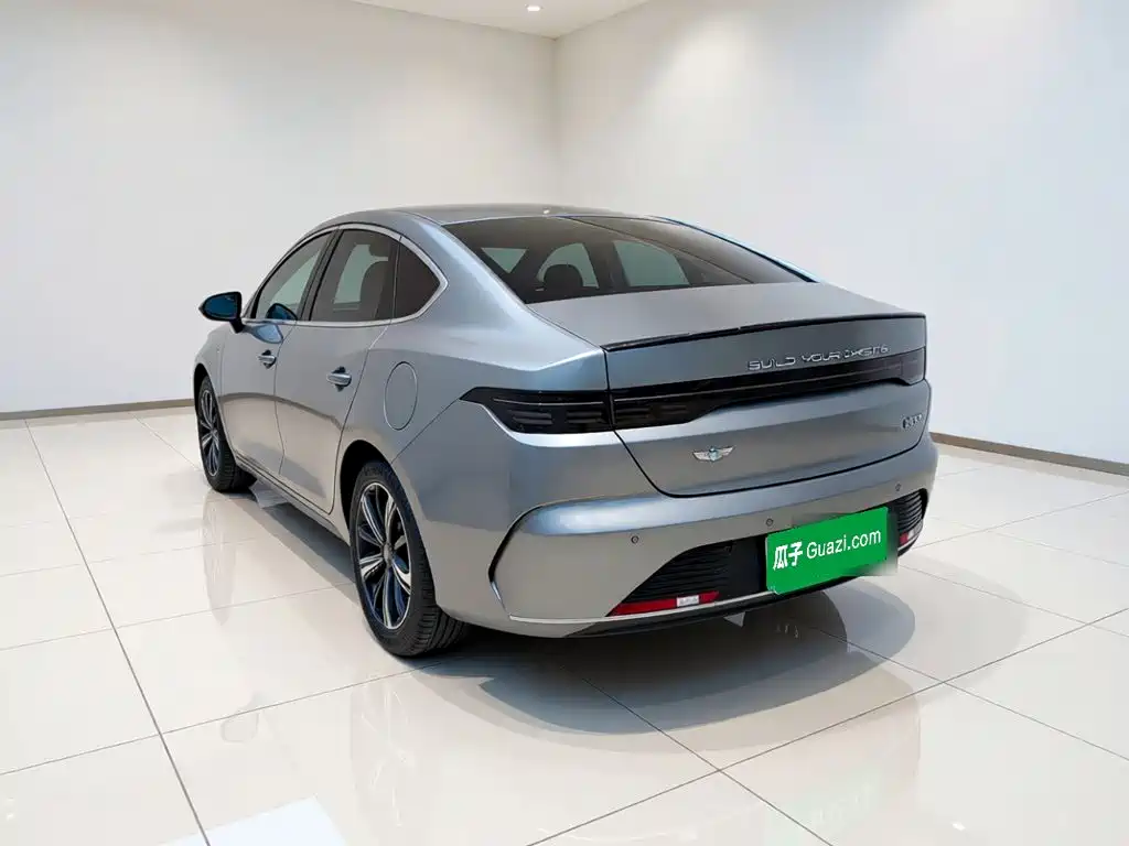 BYD Destroyer 05 2023 2022 DM-i 55KM Premium