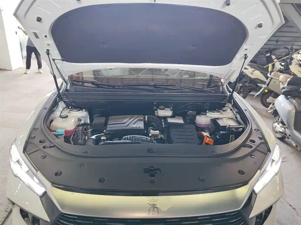 BYD Song Pro New Energy 2023 Champion Edition DM-i 110KM Excellence фото 20