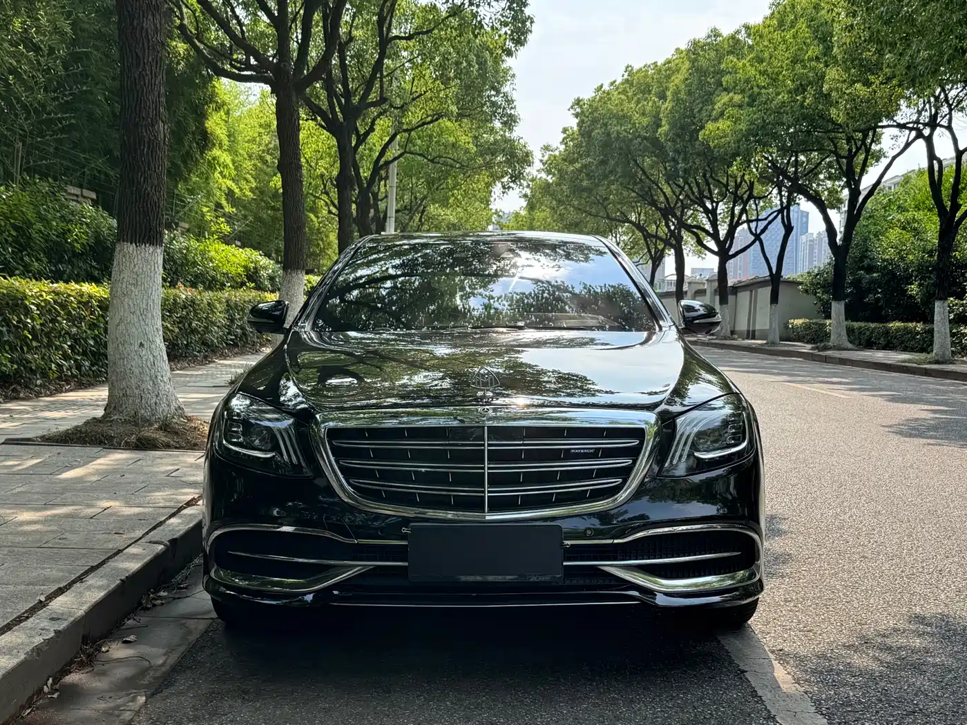 Mercedes-Benz Maybach S-Class 2018 S 450 4MATIC фото 2