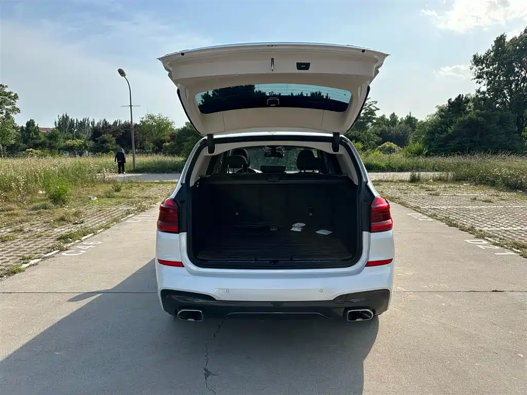 BMW X3 2018 xDrive25i M Sport Package China V фото 8