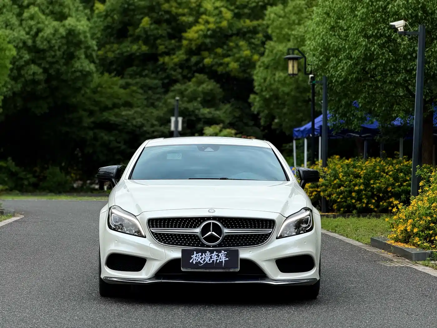 Mercedes-Benz CLS 2017 CLS 260 Elegance фото 2