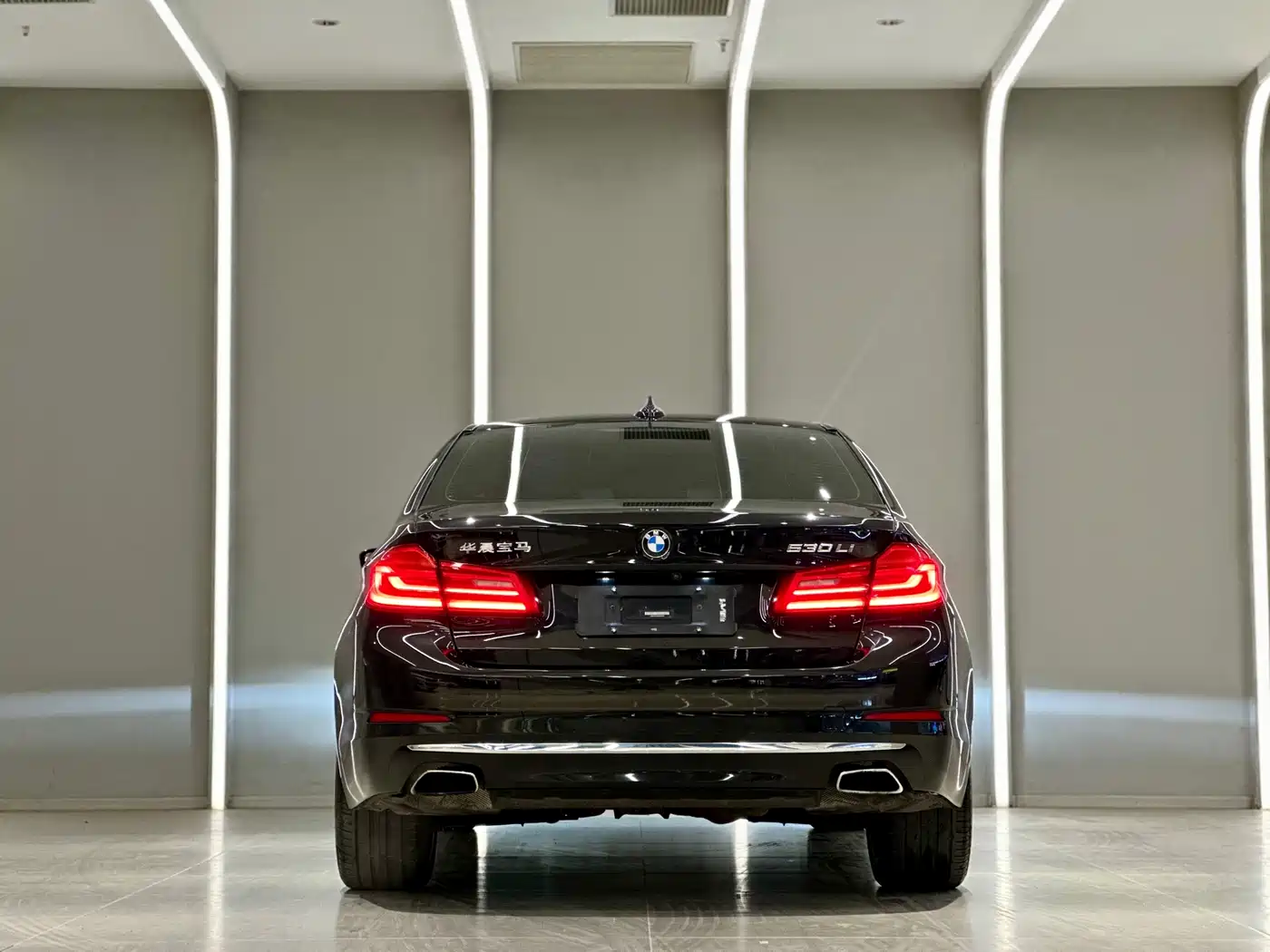 BMW 5 Series 2020 Model 530Li Executive Luxury Package фото 11