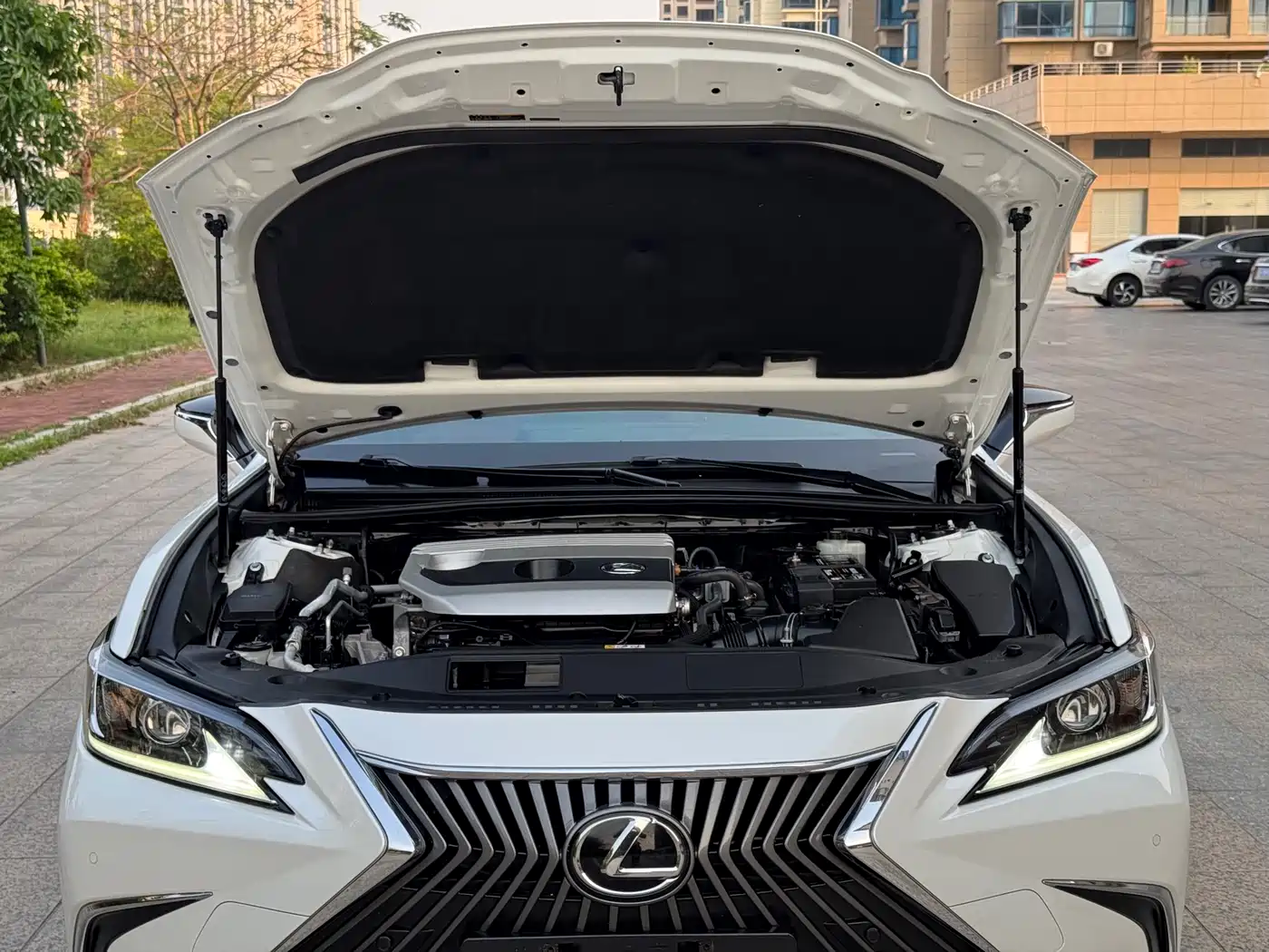 Lexus ES 2020 200 Excellence фото 20