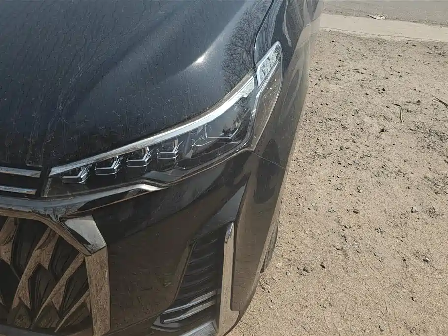 SAIC MAXUS CHASE G20