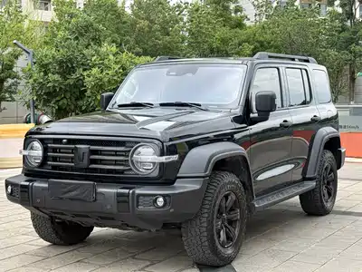 Tank 300
