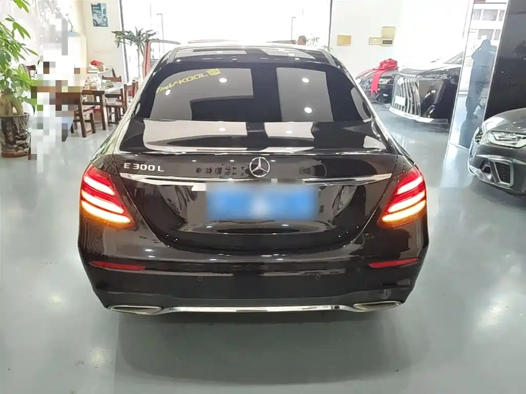 Mercedes-Benz E-Class 2018 Facelift E 300 L Sport Luxury фото 6