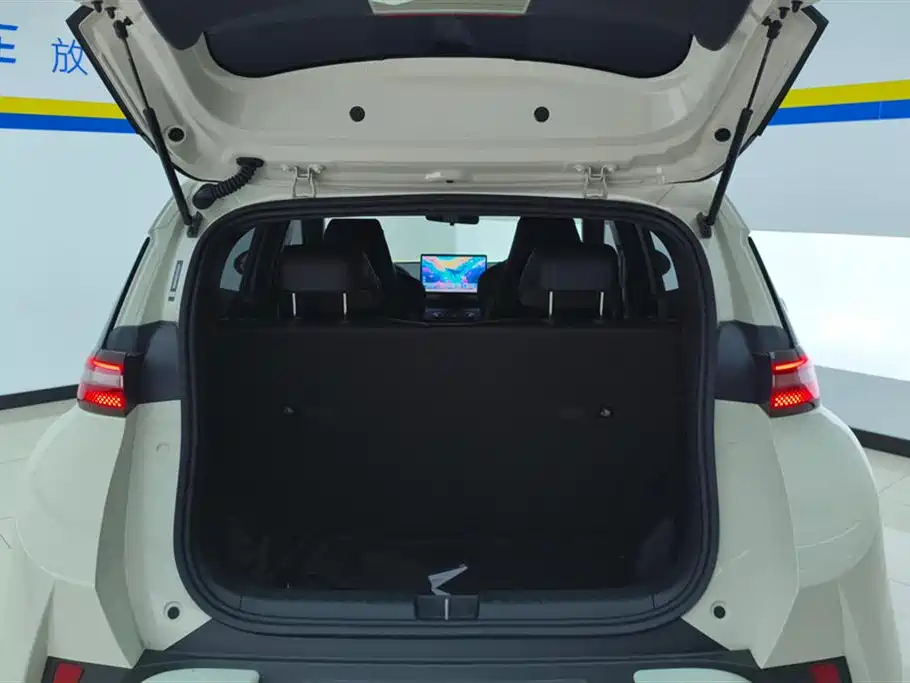 BYD Seagull 2025 Smart Drive Edition 305km Freedom Version фото 4