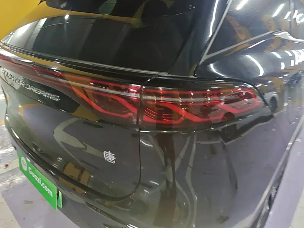 Фото 8 - BYD Tang New Energy