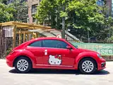 صورة 15 - Volkswagen Beetle