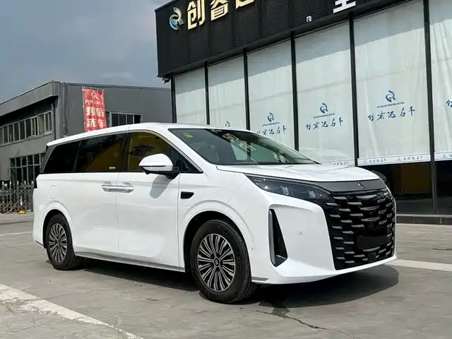 BYD Xia, фото 3