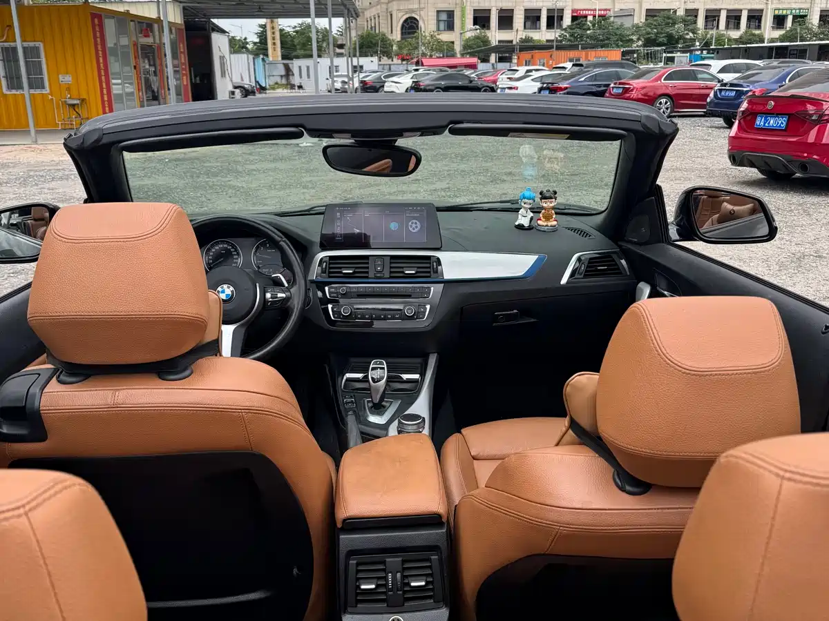 BMW 2 Series (Import) 2019 225i Convertible Coupe Exclusive M Sport Package фото 10