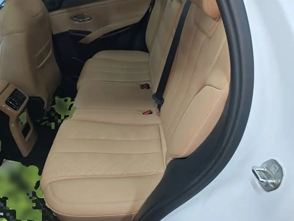 BYD Song L DM-i 2024 112km Leading Edition фото 17