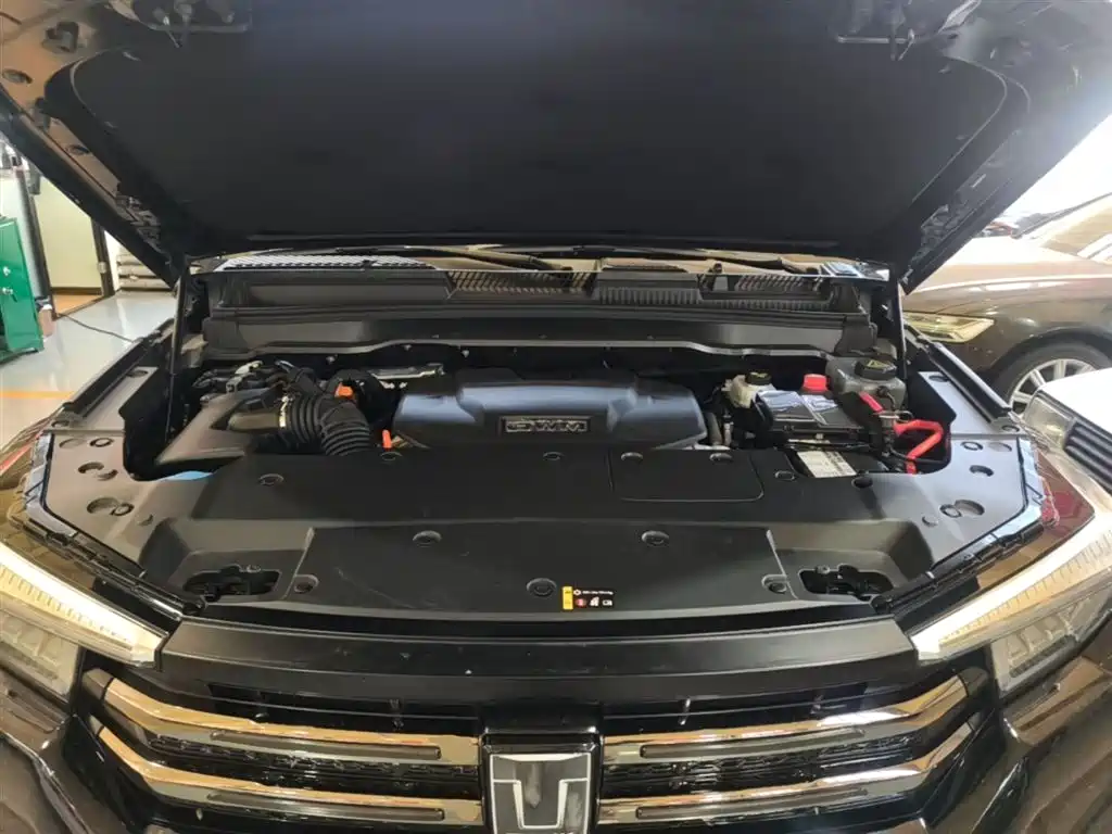 Tank 400 New Energy 2024 Hi4-T Off-Road Edition фото 20