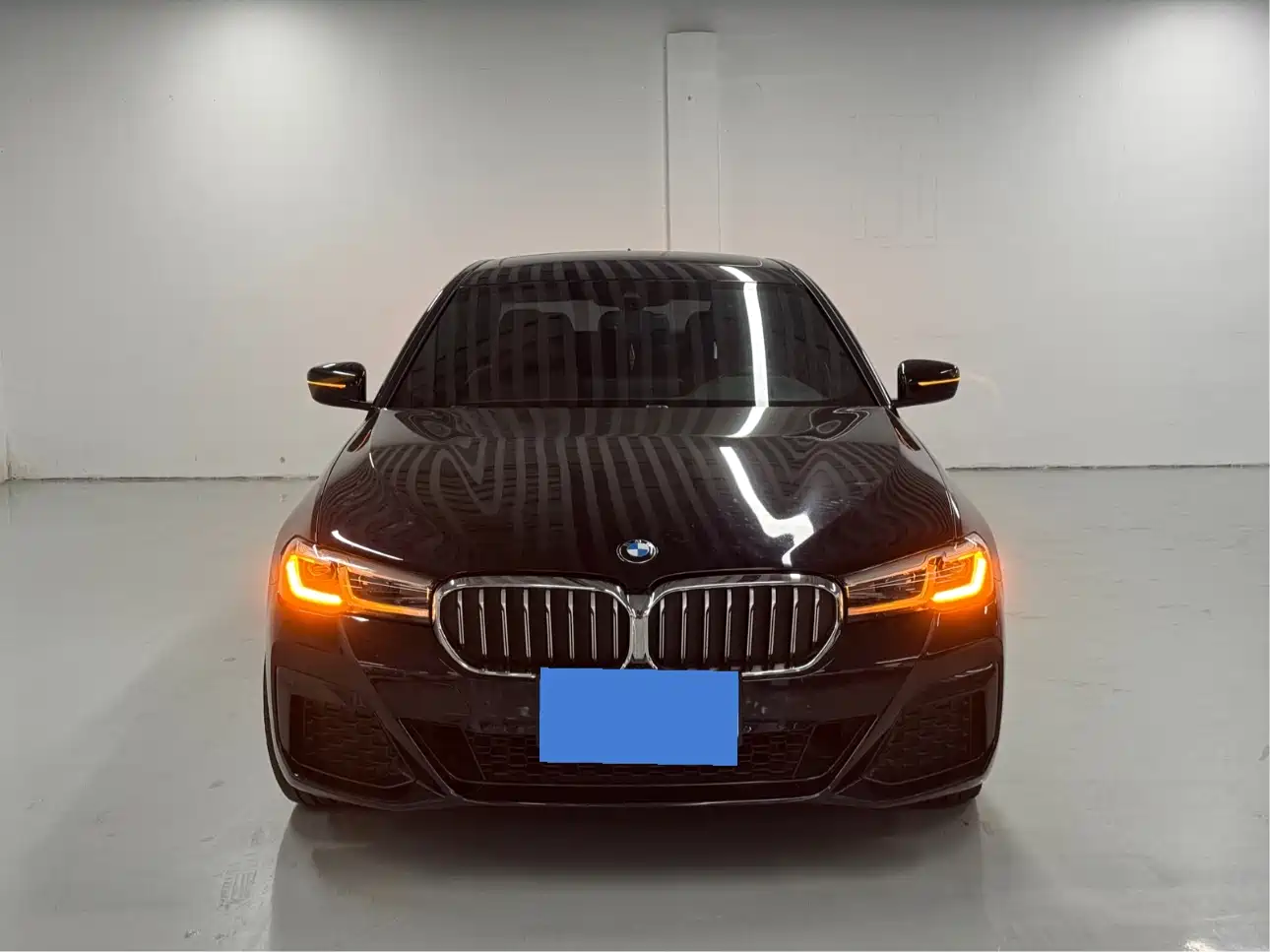 BMW 5 Series 2020 530Li Exclusive M Sport Package фото 2