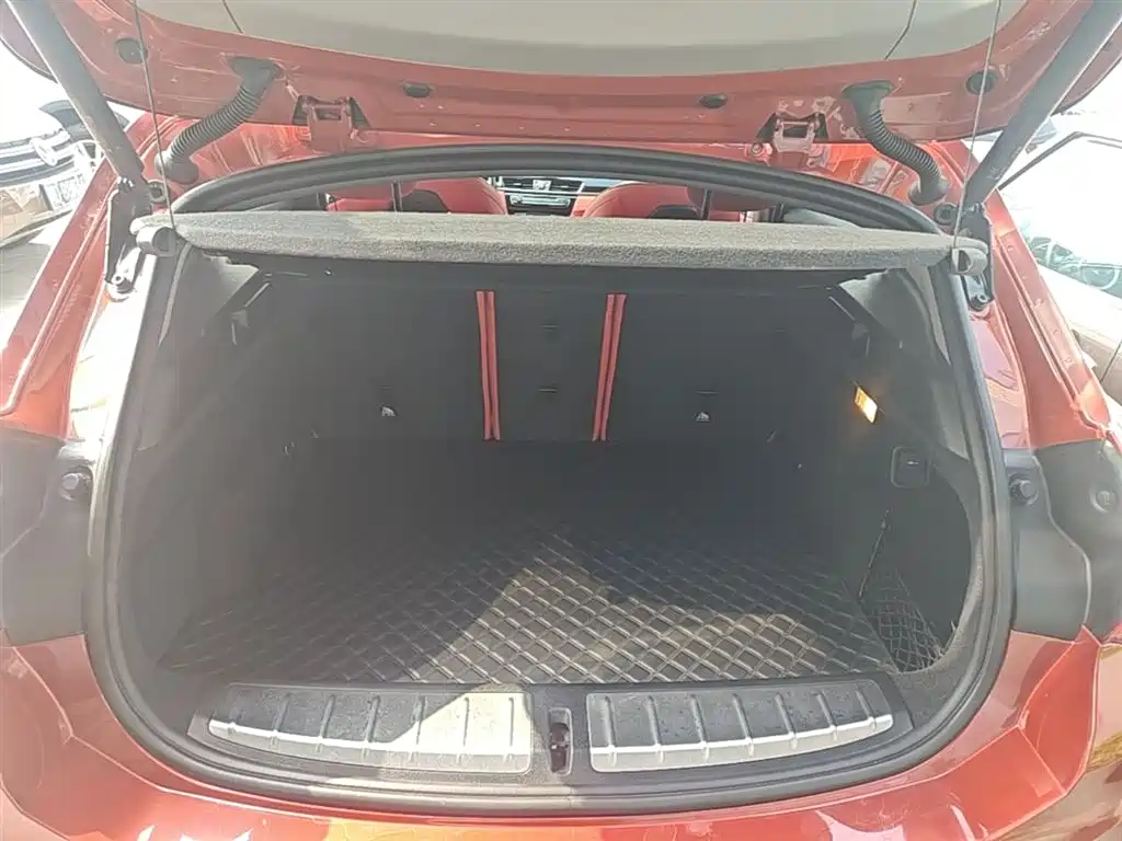 BMW X2 (Import) 2019 sDrive20i M Off-Road Package China VI фото 19