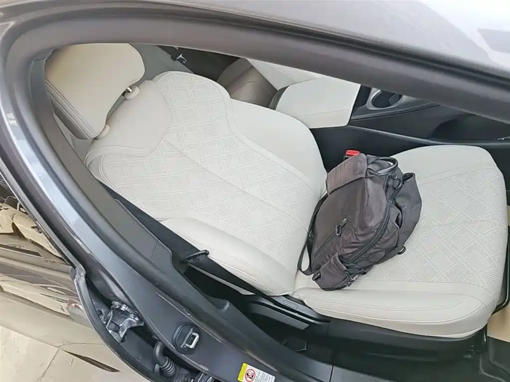 BYD Qin PLUS 2025 DM-i Smart Drive 55KM Leader фото 25