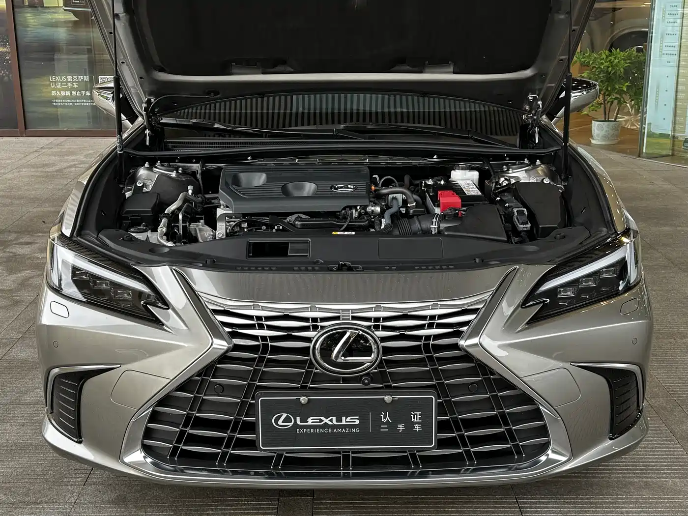 Lexus ES 2025 200 Ultimate Edition фото 12