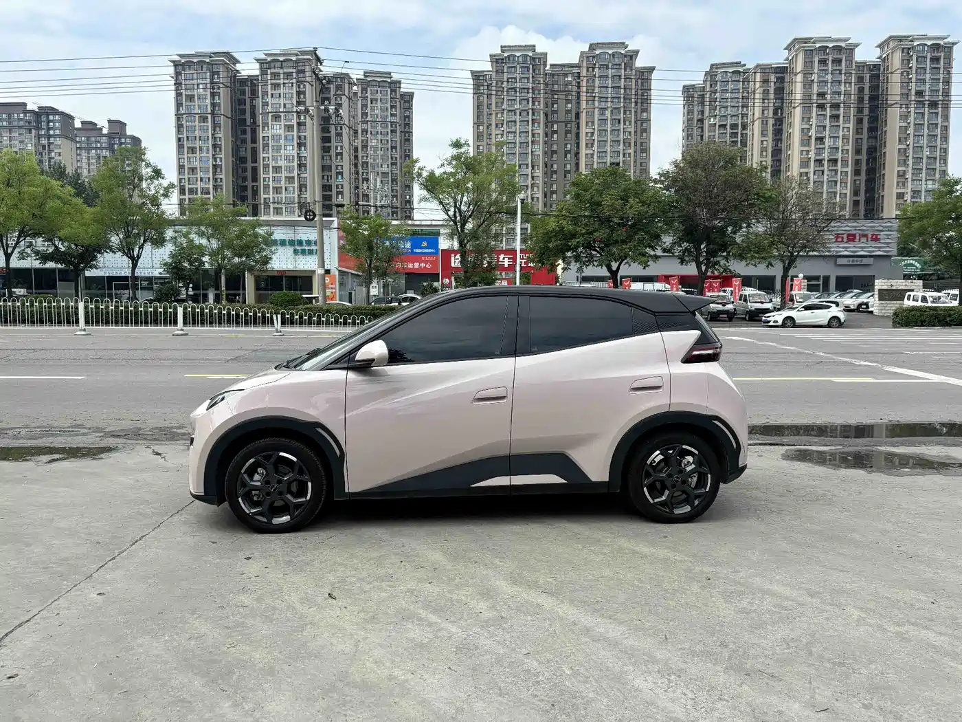 BYD Seagull 2024 Glory Edition 305km Freedom Edition фото 3