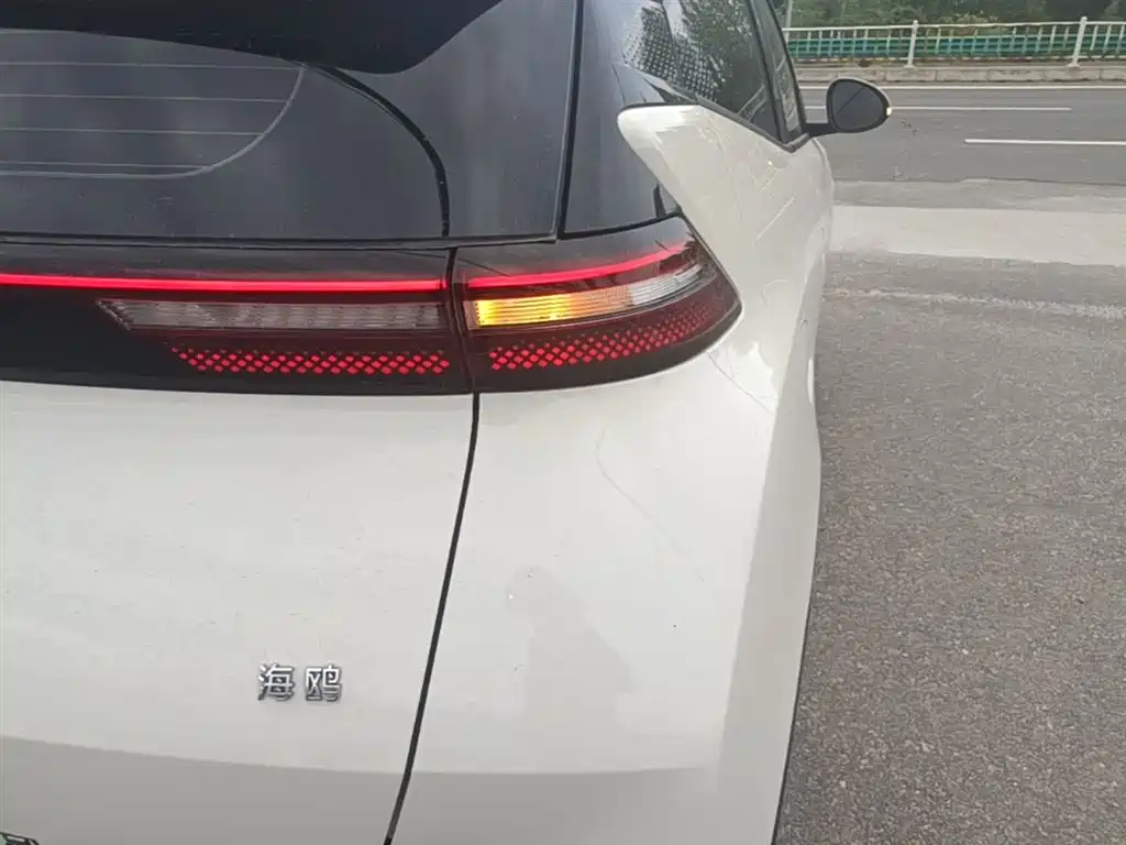 BYD Seagull 2024 Glory Edition 305km Freedom Edition фото 8