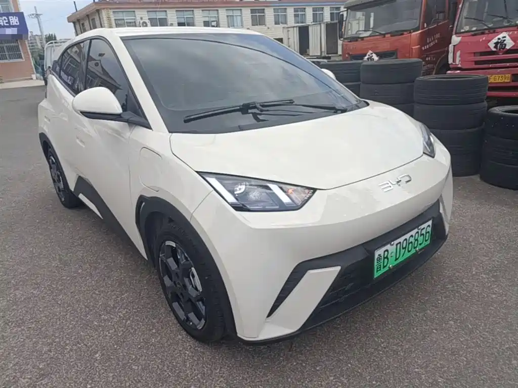 BYD Seagull 2024 Glory Edition 305km Freedom Edition фото 4