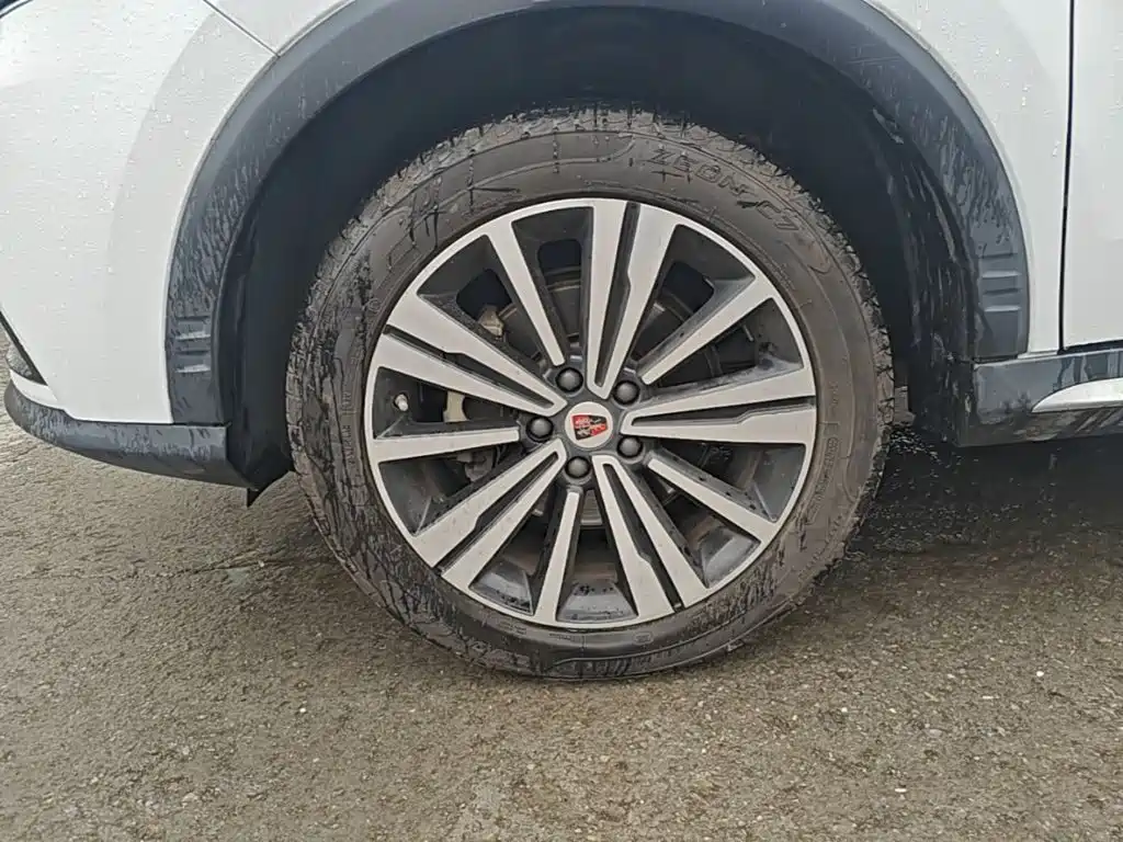 Фото 23 - Roewe RX5