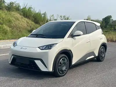 BYD Seagull