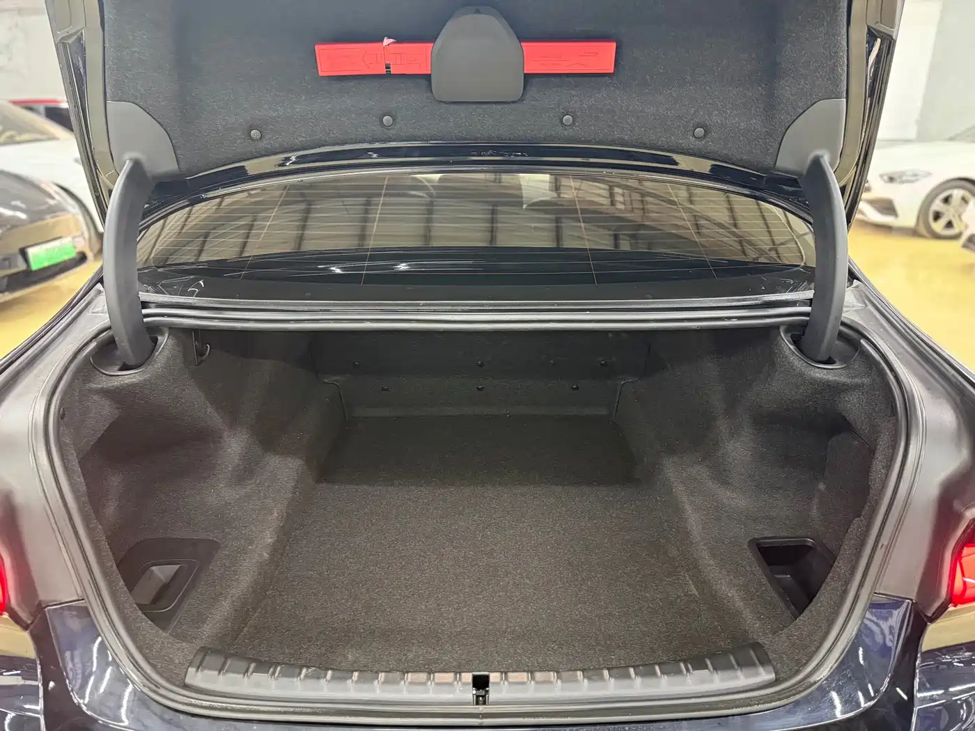 BMW 5 Series 2021 530Li Leading Luxury Package фото 18