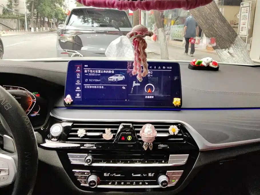 BMW 5 Series 2023 530Li Leading Luxury Package фото 12