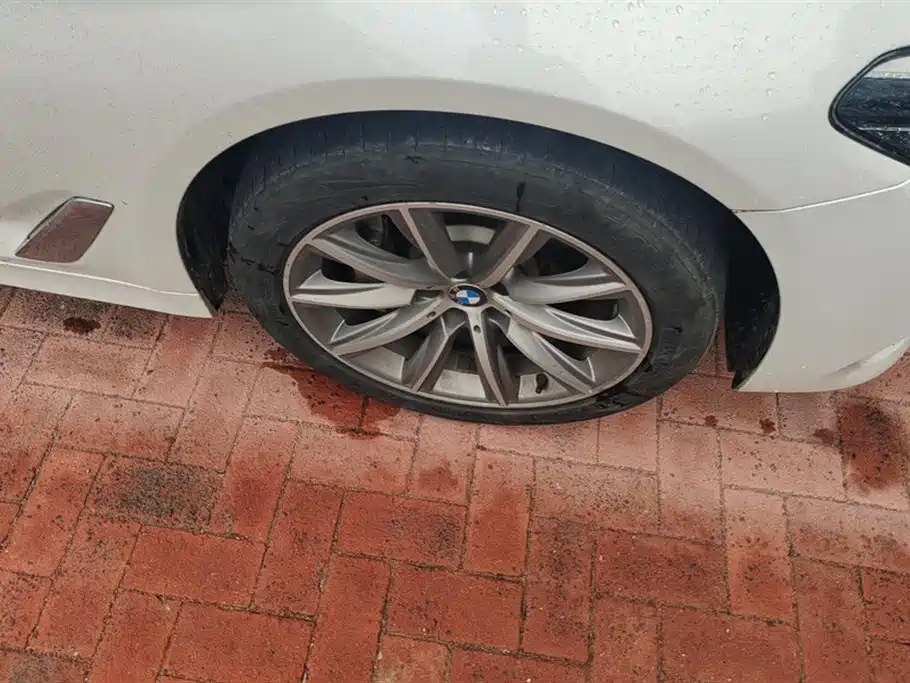 BMW 5 Series 2018 528Li Launch Special Edition фото 6