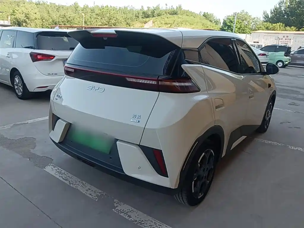 BYD Seagull 2025 Smart Drive Edition 305km Freedom Version фото 7
