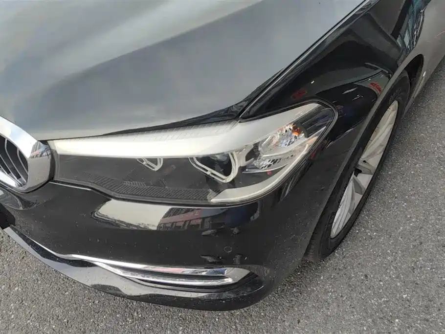 BMW 5 Series 2019 530Li Leading Luxury Package фото 5