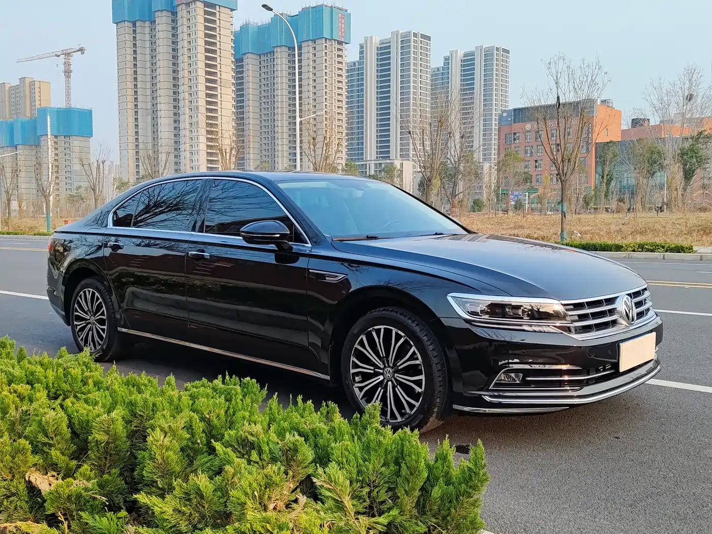 Volkswagen Phideon 2019 380TSI 2WD Business Edition China V фото 17